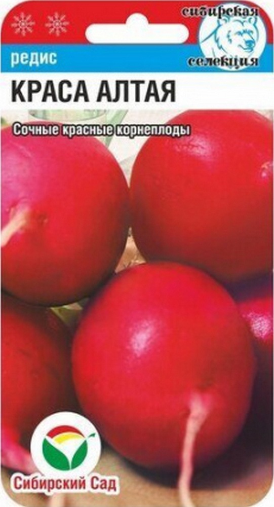 Редис Краса Алтая, 2 г. Сибирский сад