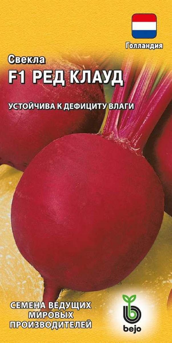 Свекла Ред Клауд F1, 1 г. Голландия.