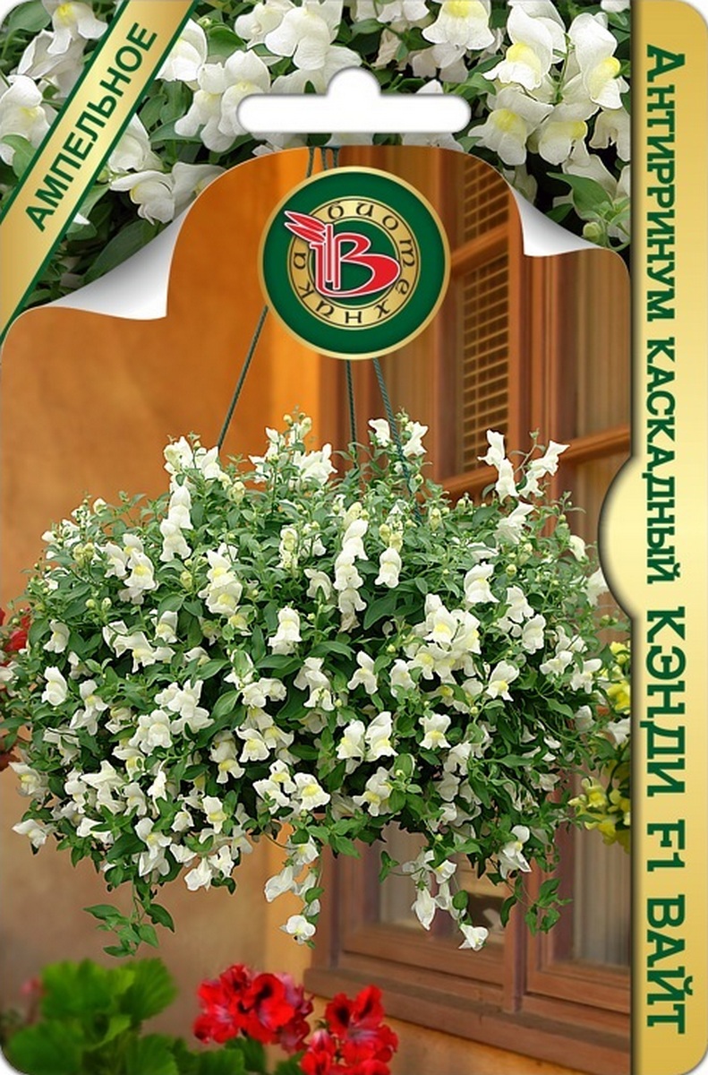 Антирринум каскадный Кэнди F1 Вайт, 5 шт. Драже, Ампельное  Биотехника