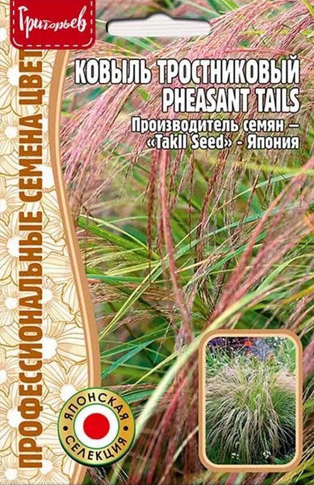 Ковыль тростниковый Pheasant Tails (Фазаньи хвосты), 10 шт.