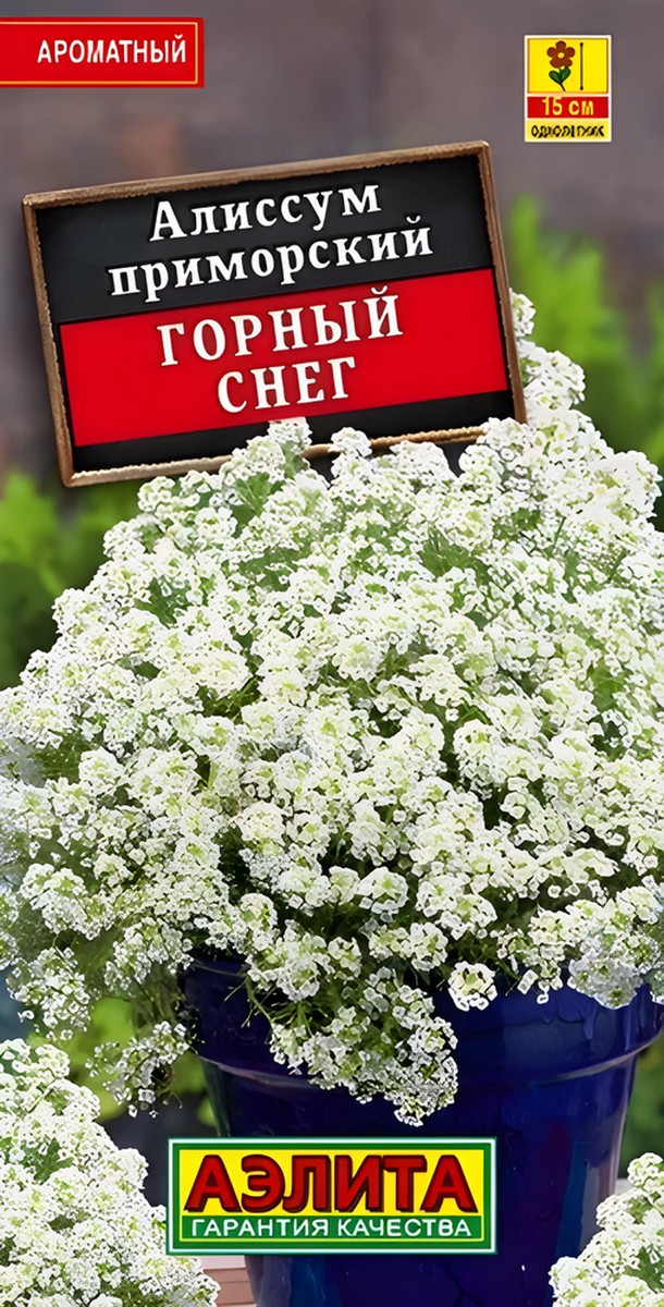 Алиссум Горный снег, 0,1 г
