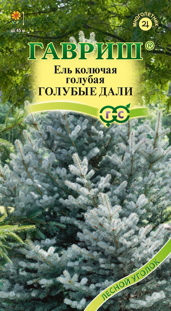 Ель голубая Голубые дали, 0,2 г. Лесной уголок