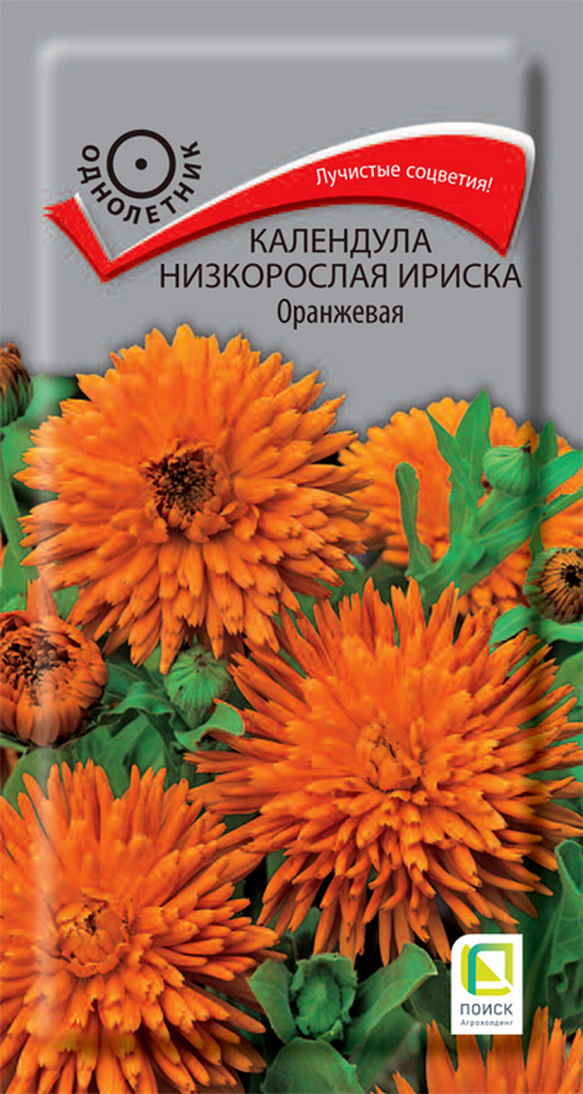 Календула низкорослая Ириска Оранжевая, 10 шт.