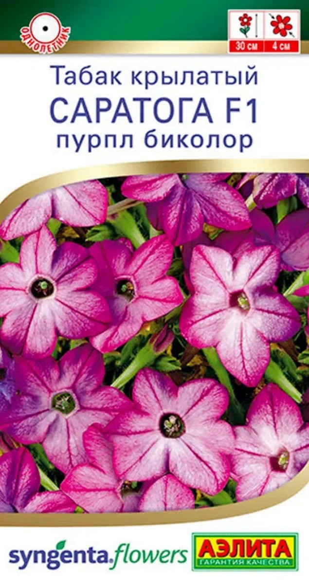 Табак крылатый Саратога F1 пурпл биколор, 5 шт.