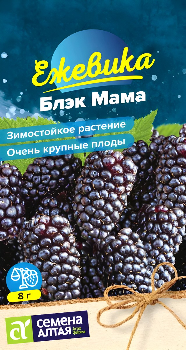 Ежевика Блэк Мама, крупноплодная, 0,3 г