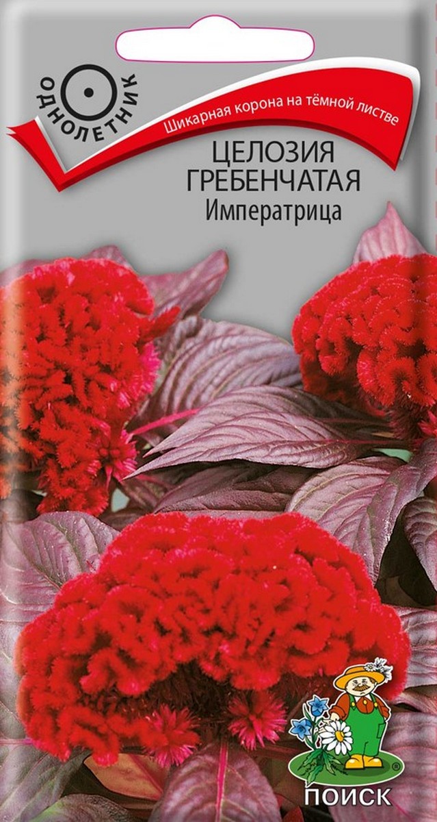 Целозия гребенчатая Императрица, 0,1 г