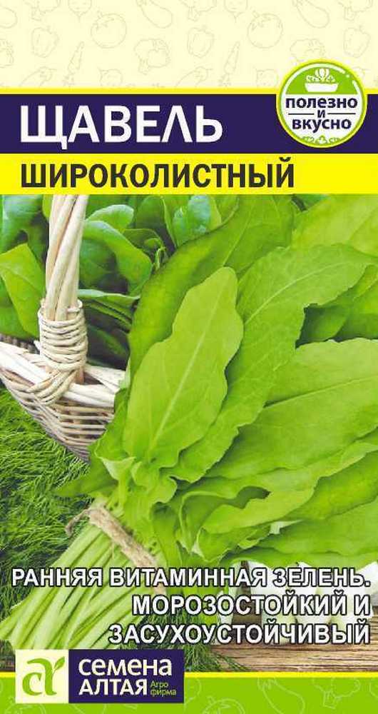 Щавель Широколистный, 0,5 г. Семена Алтая.