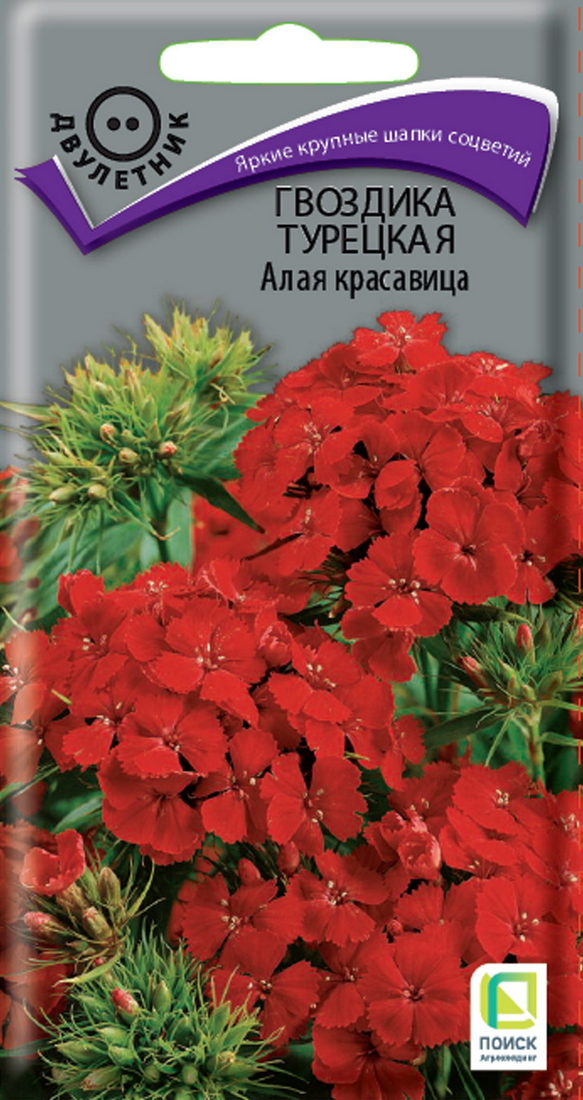 Гвоздика Турецкая Алая красавица, 0,5 г