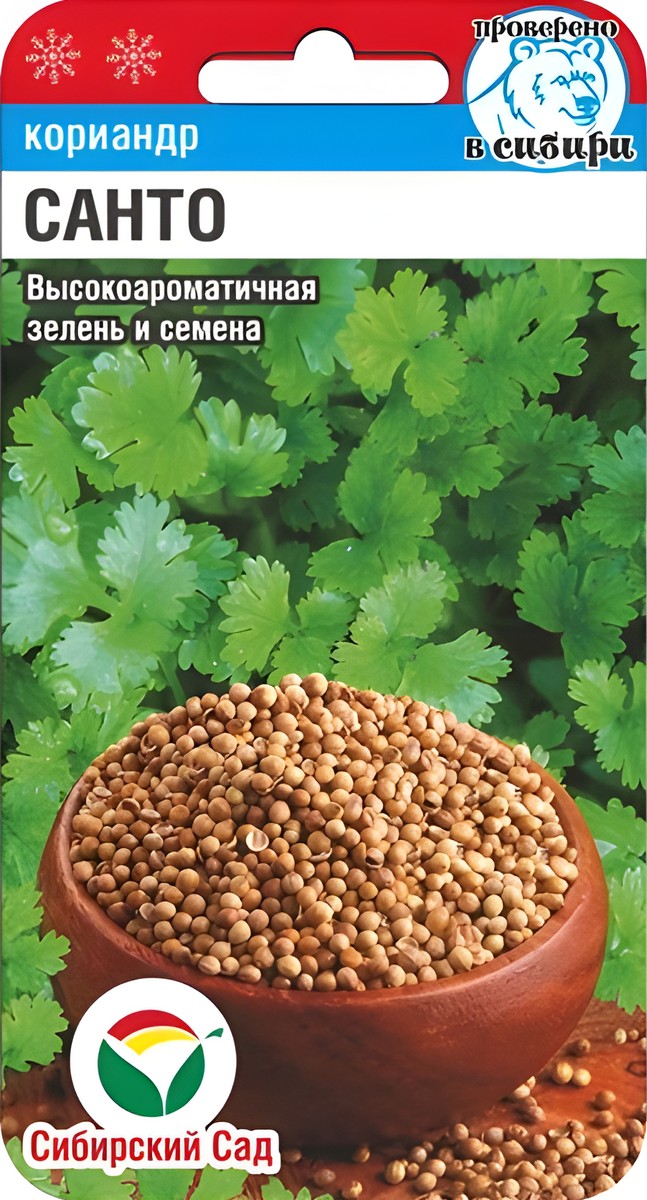 Кориандр Санто, 3 г. Сибирский сад