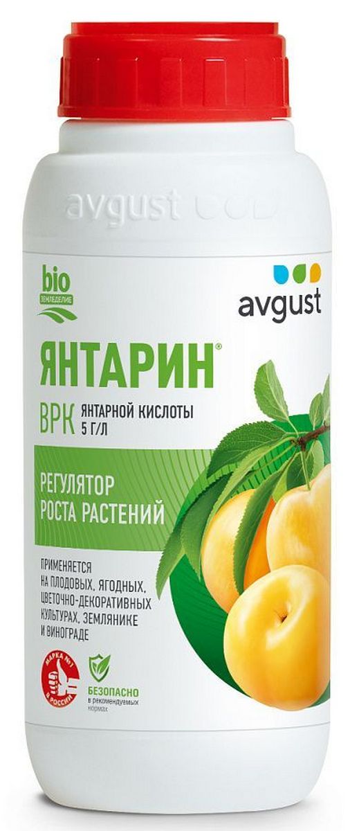 Янтарин, 500 мл Август