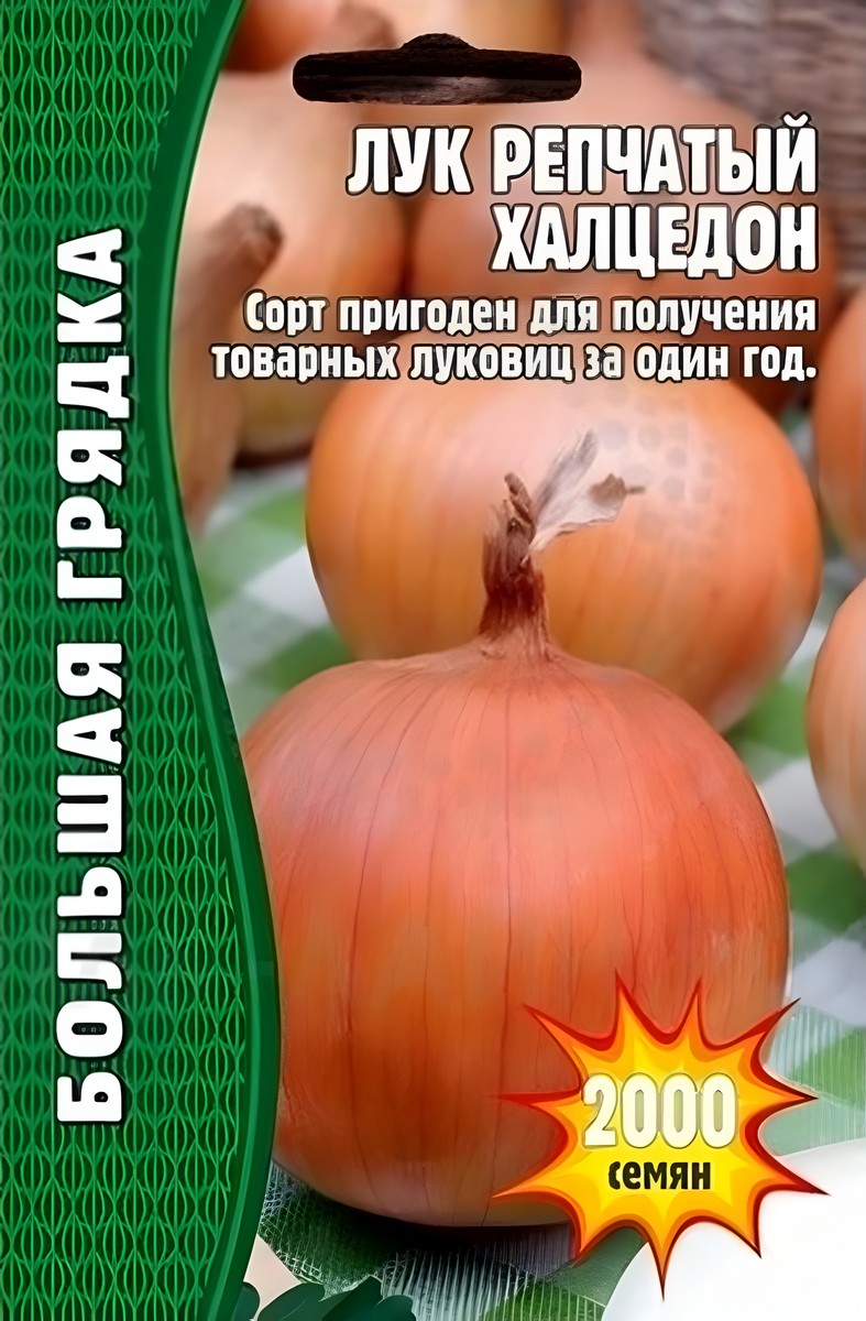 Лук Халцедон, 1000 шт. 