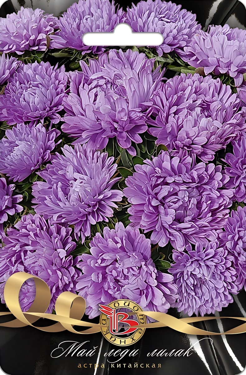 Астра Май Леди Лилак, 30 шт. Биотехника