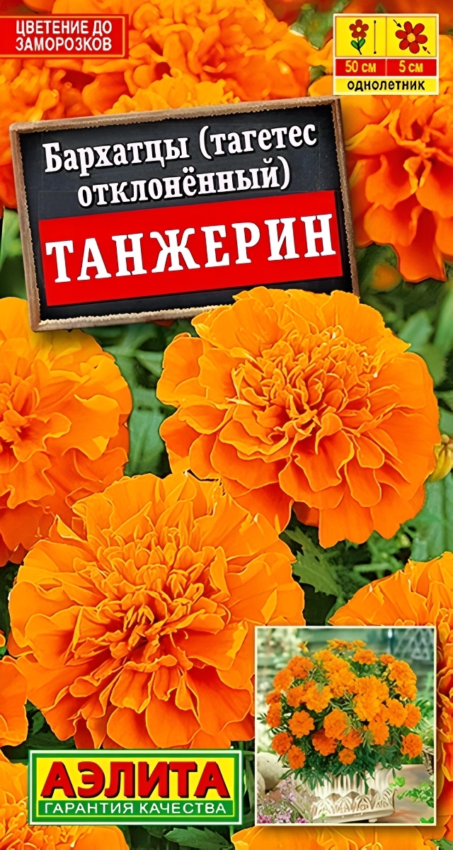 Бархатцы Танжерин обильноцветущие, 0,3 г