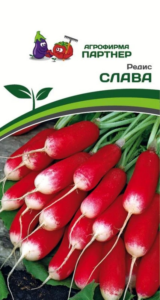 Редис Слава, 2 г. Агрофирма Партнер.