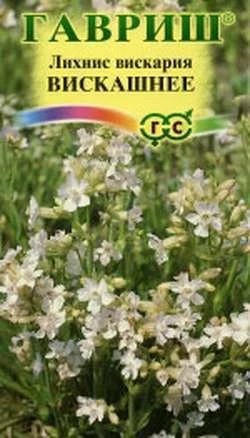 Лихнис вискария Вискашнее, 0,1 г
