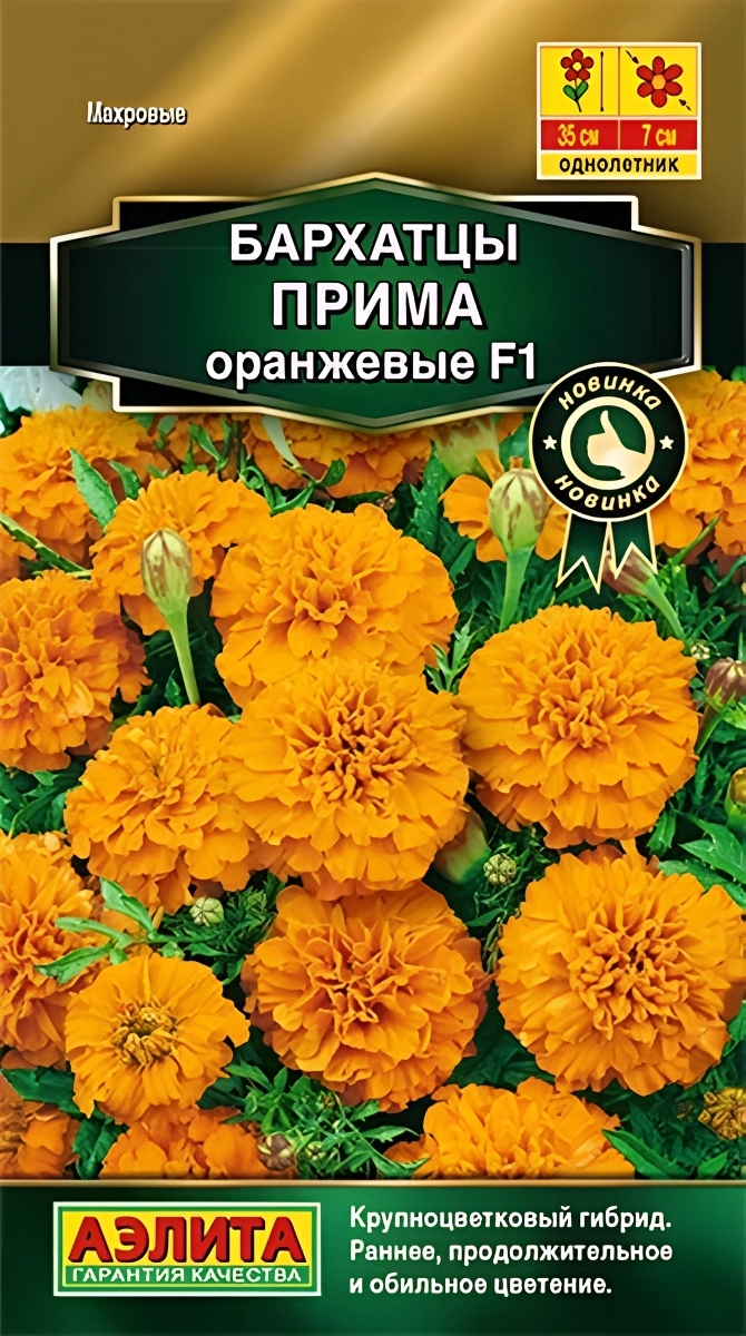 Бархатцы Прима F1, оранжевые, отклоненные, 10 шт. 