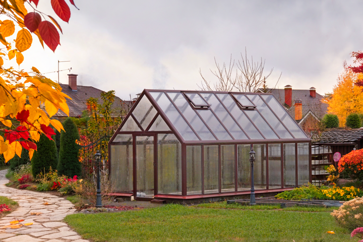 Лучшие препараты для обработки теплицы и грунта осенью