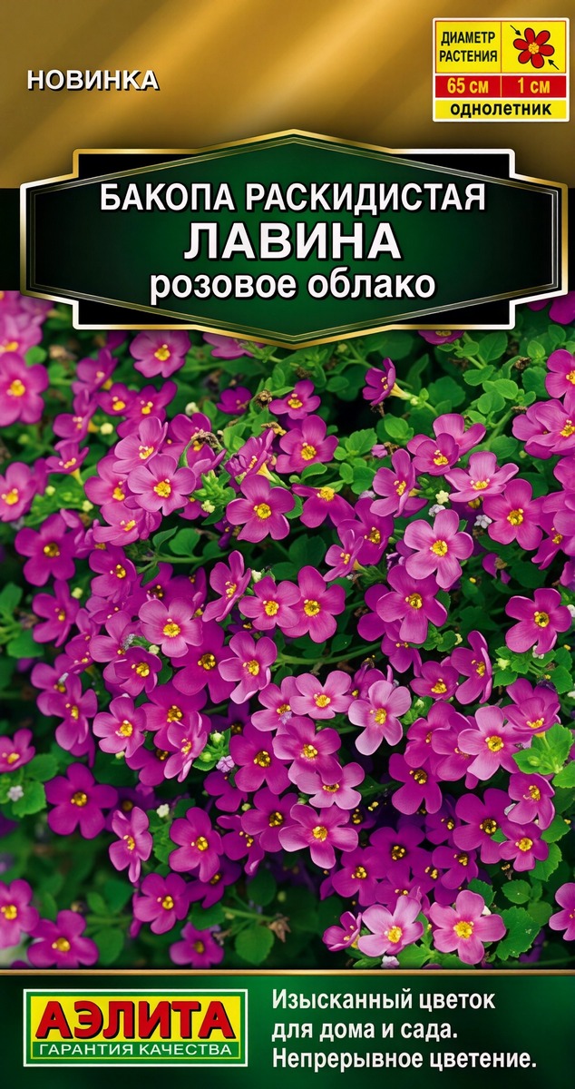 Бакопа раскидистая Лавина розовое облако, 3 шт.