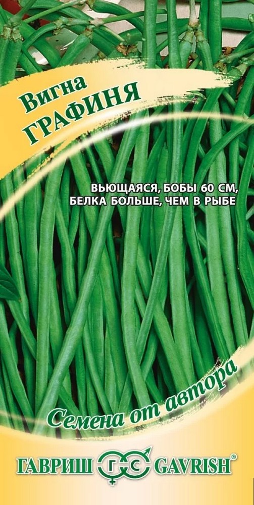 Вигна Графиня, 10 шт. Авторские семена.