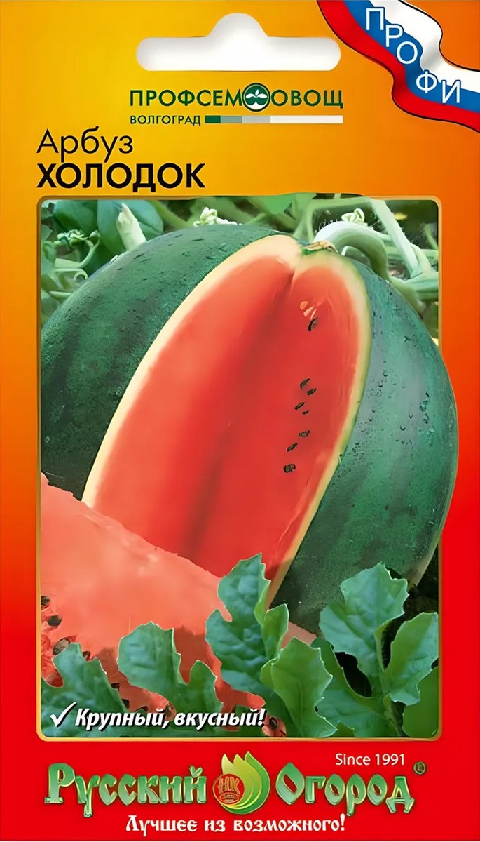 Арбуз Холодок, 1 г. Русский Огород.