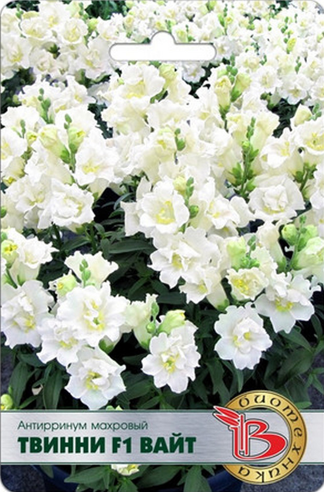 Антирринум махровый Твинни F1 Вайт, 15 шт. Биотехника