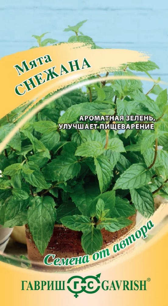 Мята Снежана, 0,05 г. Авторские семена.