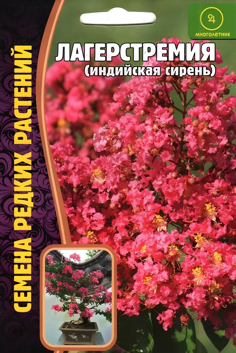 Сирень Лагерстремия Индийская, 15 шт.