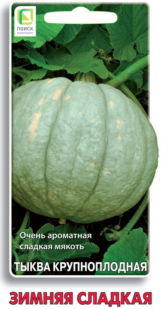 Тыква крупноплодная Зимняя сладкая, 10 шт.