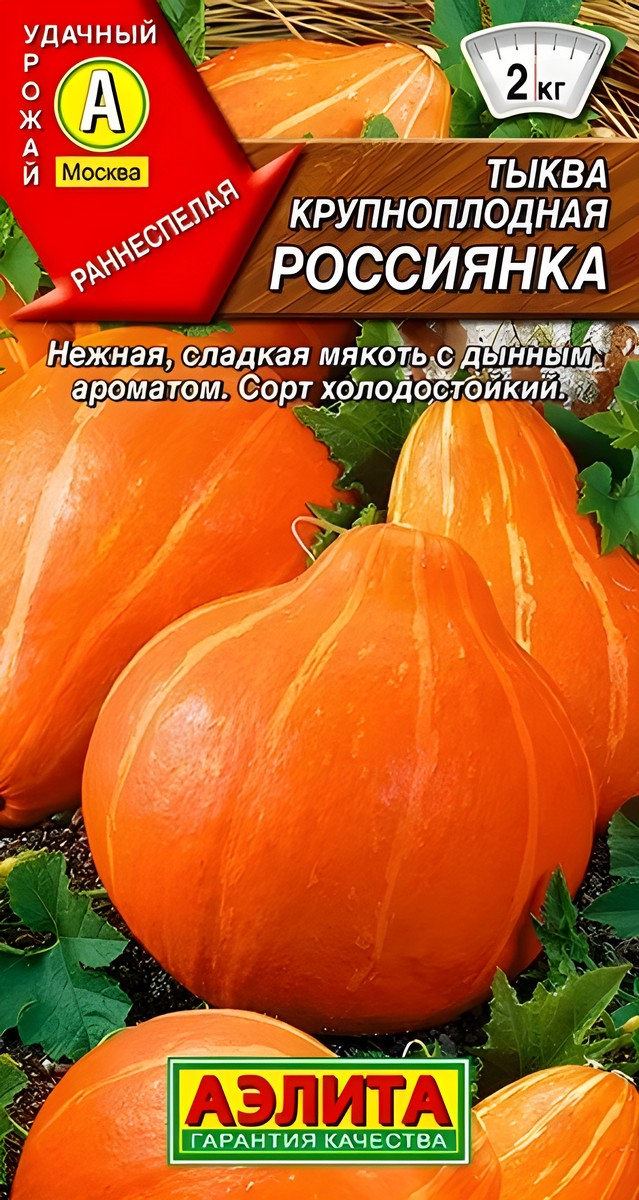 Тыква крупноплодная Россиянка, 1 г