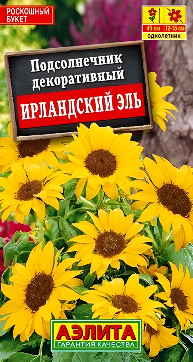 Подсолнечник декоративный Ирландский эль, 0,5 г