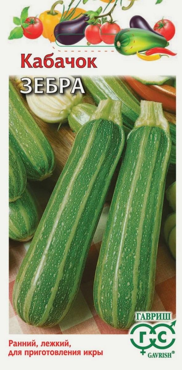 Кабачок Зебра, 2 г. Гавриш.