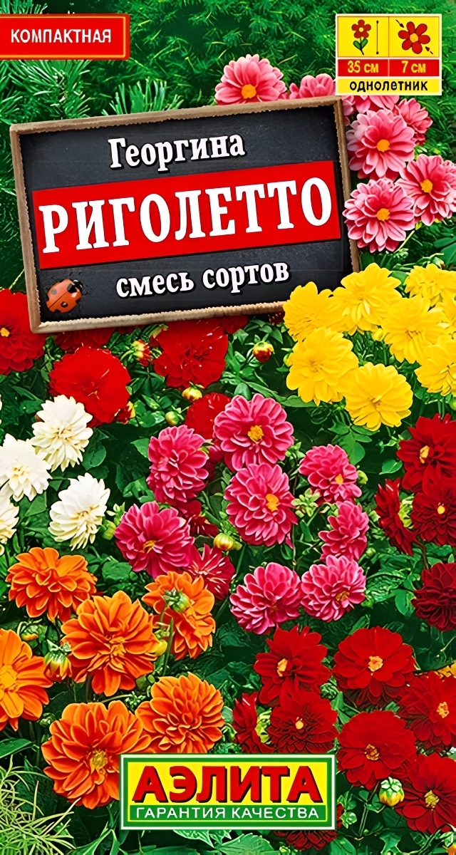 Георгина Риголетто, смесь сортов, 7 шт.