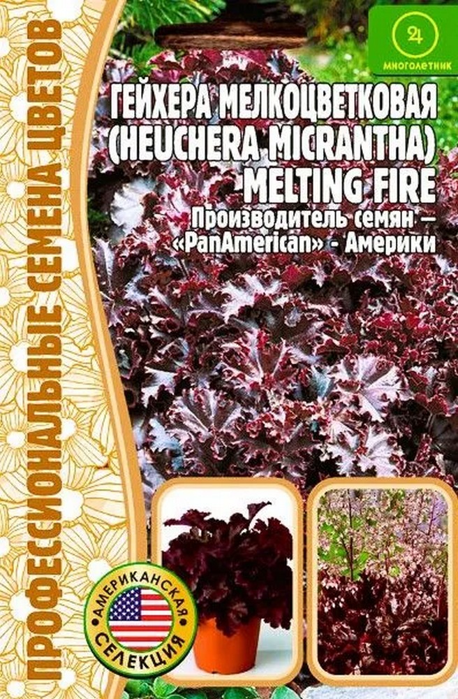 Гейхера Melting Fire мелкоцветков.Pan America, 5 шт.