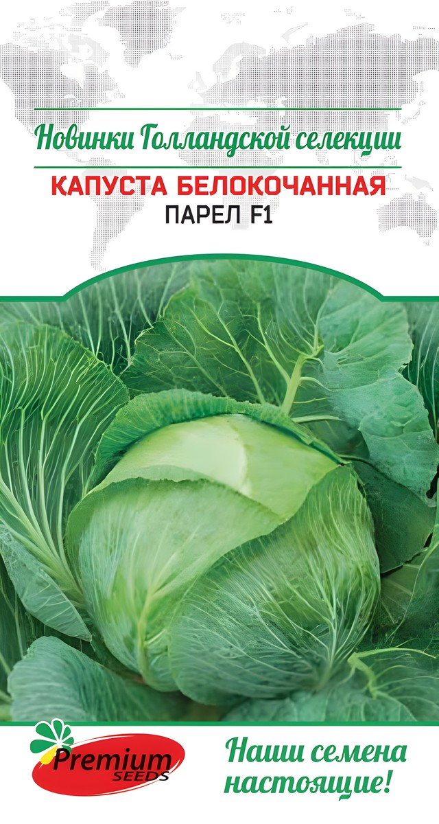 Капуста белокочанная Парел F1, 10 шт. Голландская селекция