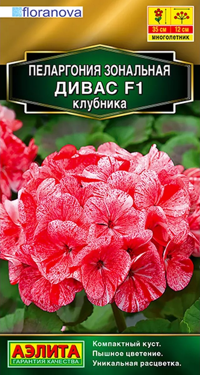 Пеларгония Дивас F1 клубника, 3 шт. 