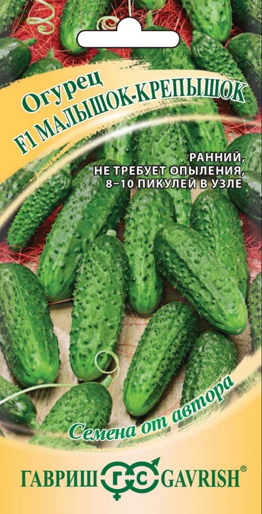 Огурец Малышок-крепышок F1, 10 шт. Корнишон. Авторские семена. 