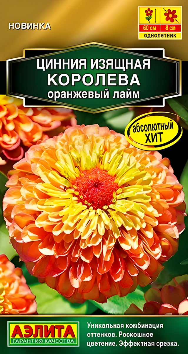 Цинния изящная Королева, оранжевый лайм, 5 шт. 