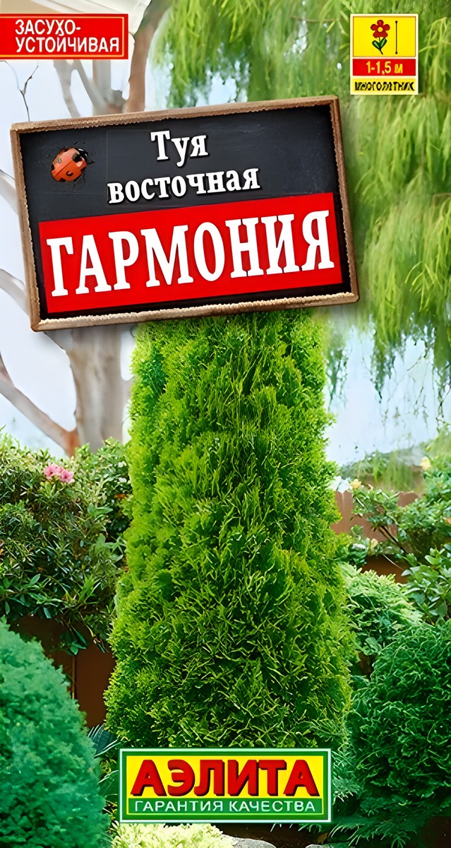 Туя восточная Гармония, 8 шт.
