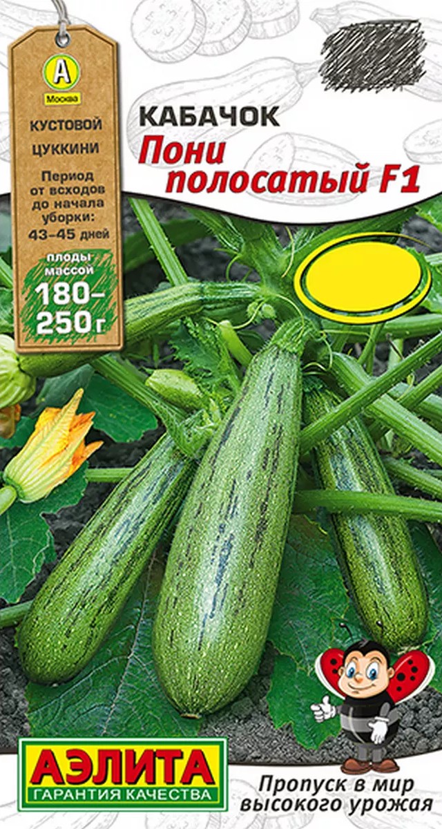 Кабачок цуккини Пони полосатый F1, 5 шт.