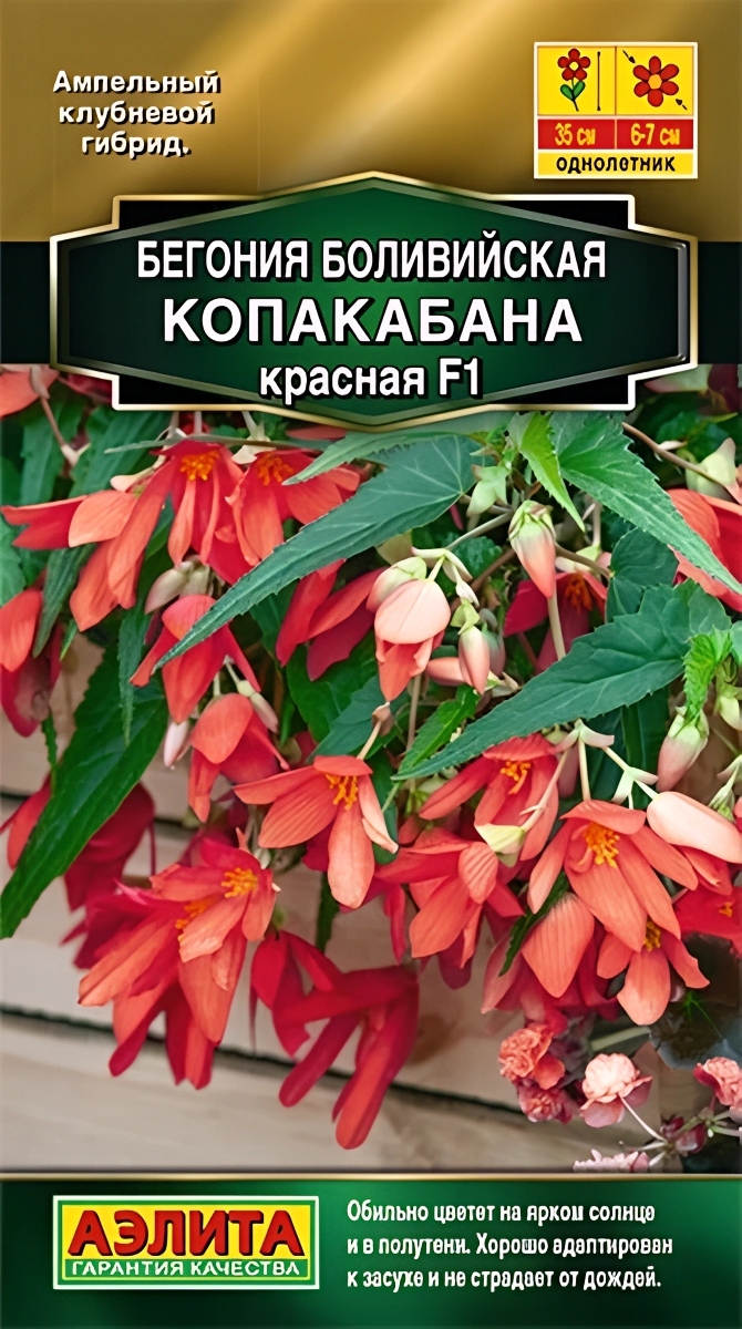 Бегония боливийская Копакабана F1, красная, 5 шт.