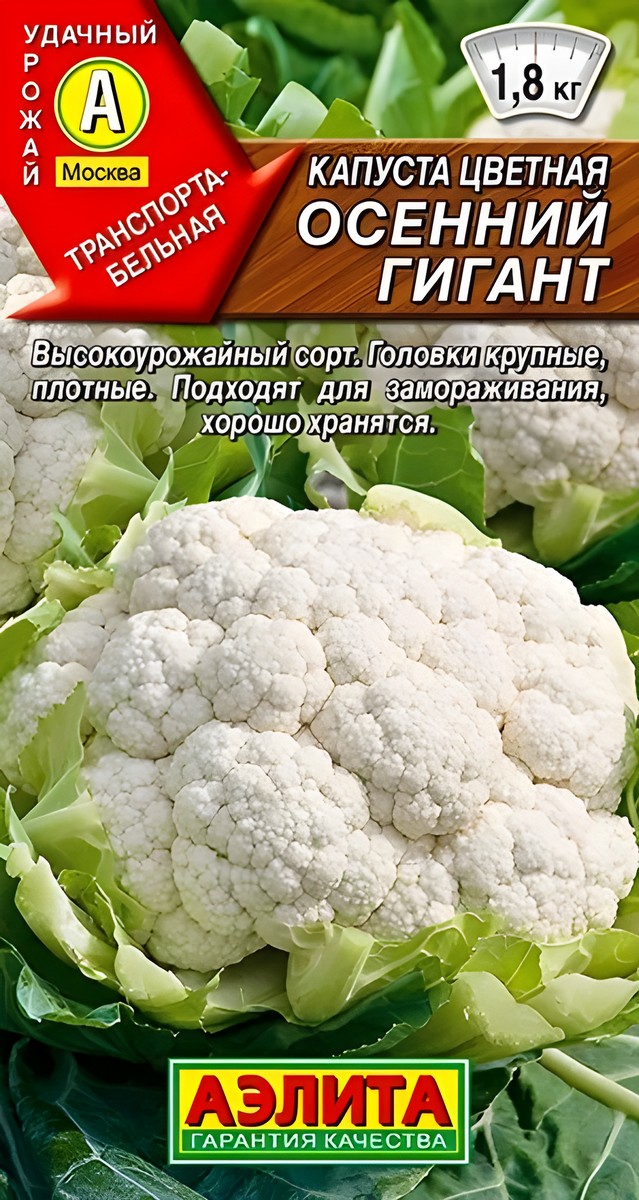 Капуста цветная Осенний гигант, 0,3 г