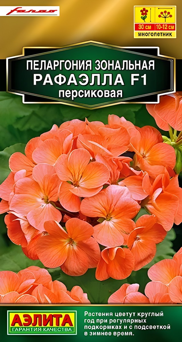 Пеларгония Рафаэлла F1, персиковая, 5 шт.