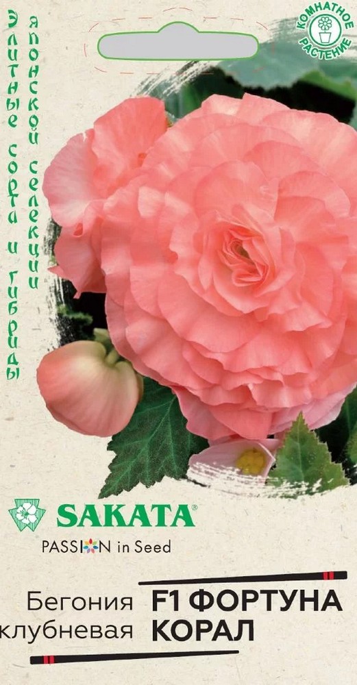 Бегония клубневая Фортуна корал F1, 4шт. Саката.