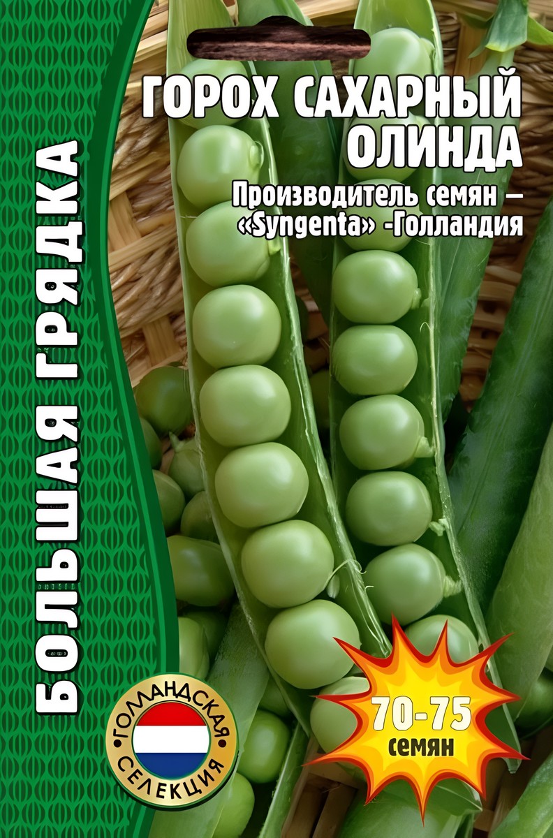 Горох сахарный Олинда, 50 шт. Голландия.