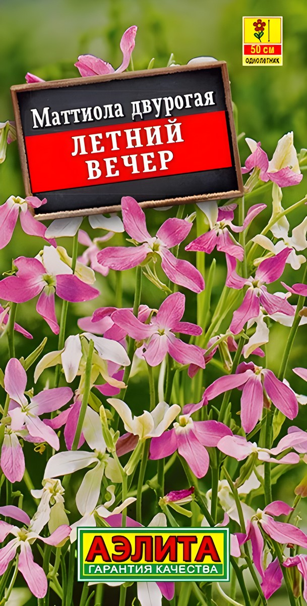 Маттиола Летний вечер, 0,5 г