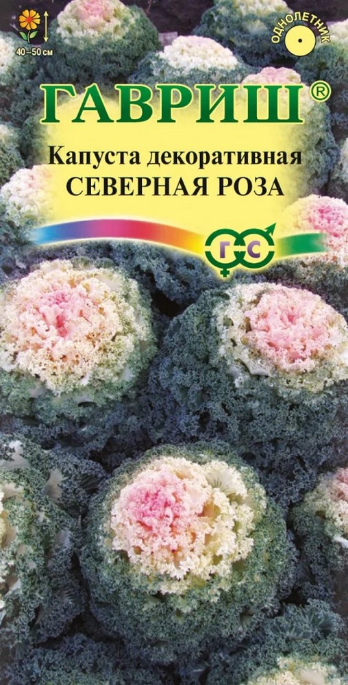 Капуста декоративная Северная роза, 0,05 г