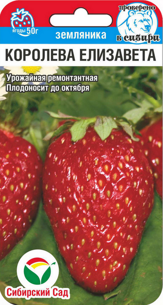 Клубника Королева Елизавета, 10 шт. Сибирский сад