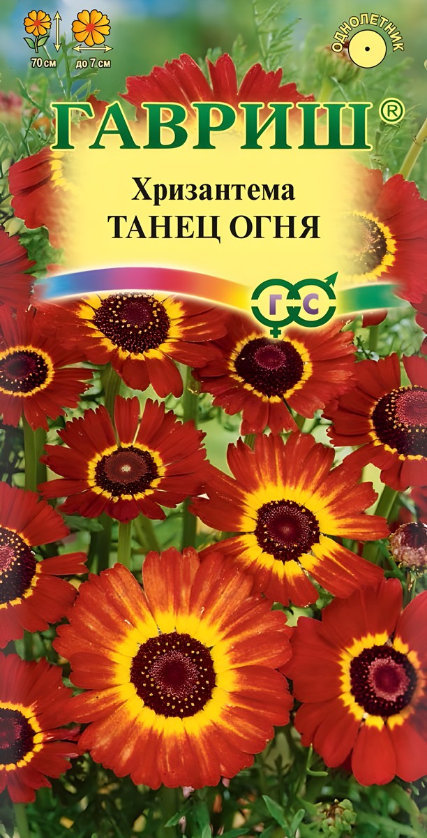 Хризантема Танец огня 0,5 г 
