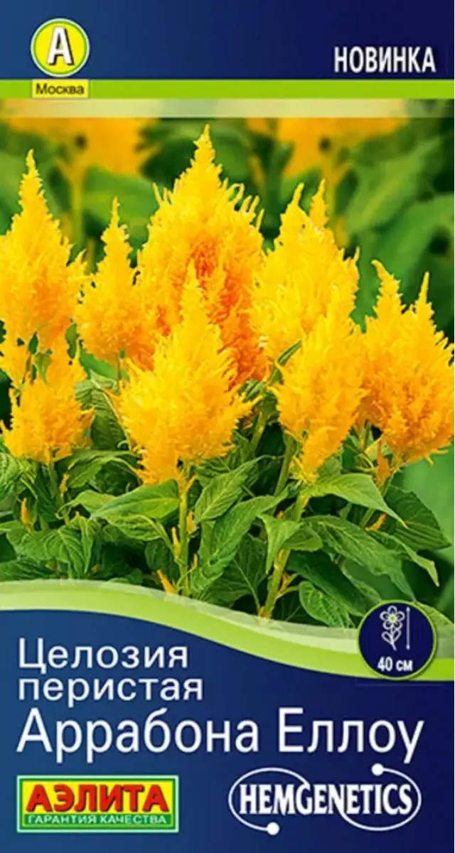 Целозия перистая Аррабона еллоу, 7 шт.
