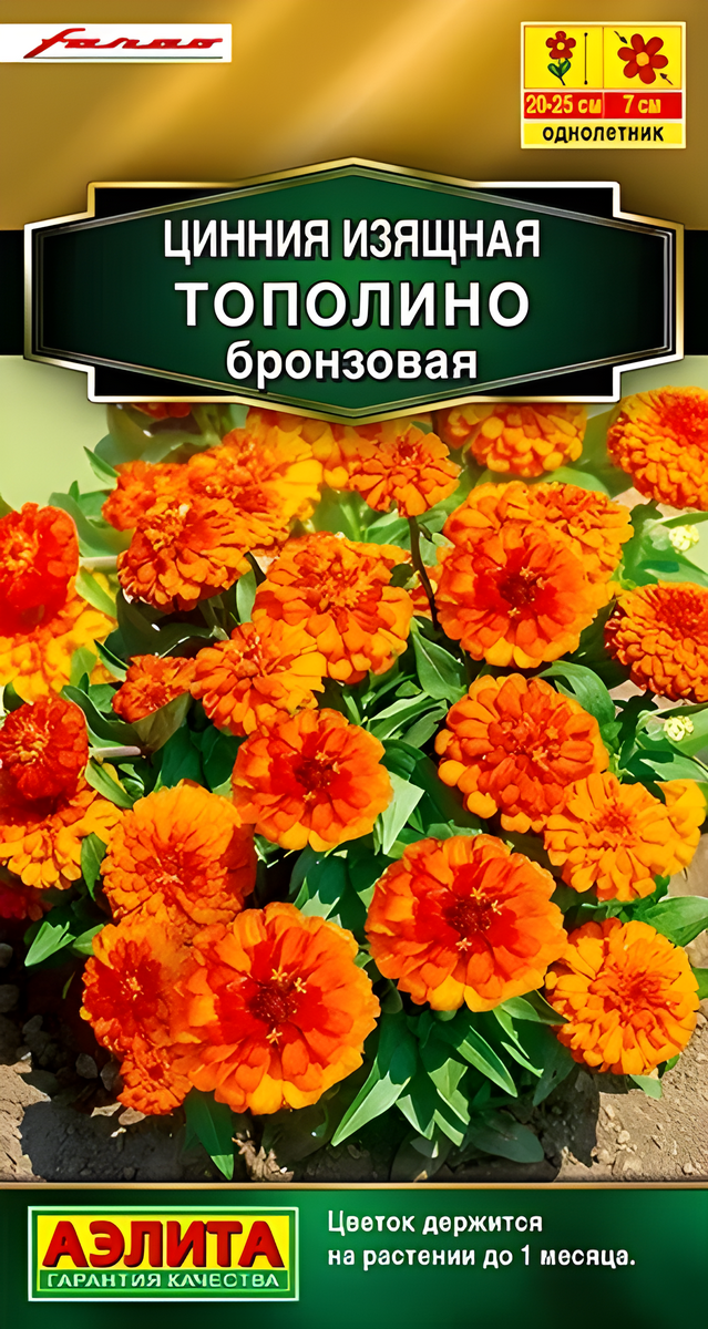 Цинния изящная Тополино, бронзовая, 12 шт.